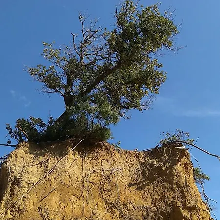 Apartament Patricia Rab Town