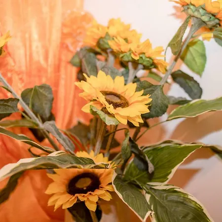 Patricia Appartement Rab Town